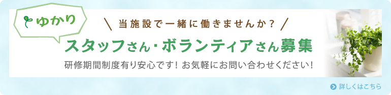 スタッフさん、ボランティアさん募集